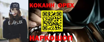 ECSTASY Новодвинск