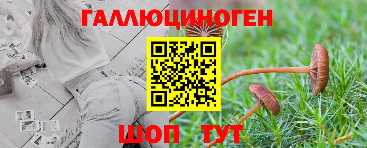 Псилоцибиновые грибы ЛСД  купить наркотик  Советская Гавань  Вход с VPN 